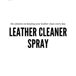 Bag Leather Cleaner Spray for All Types of Leather by AraDam